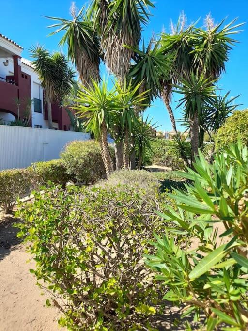 Apartamento Playa La Barrosa チクラナ・デ・ラ・フロンテーラ エクステリア 写真