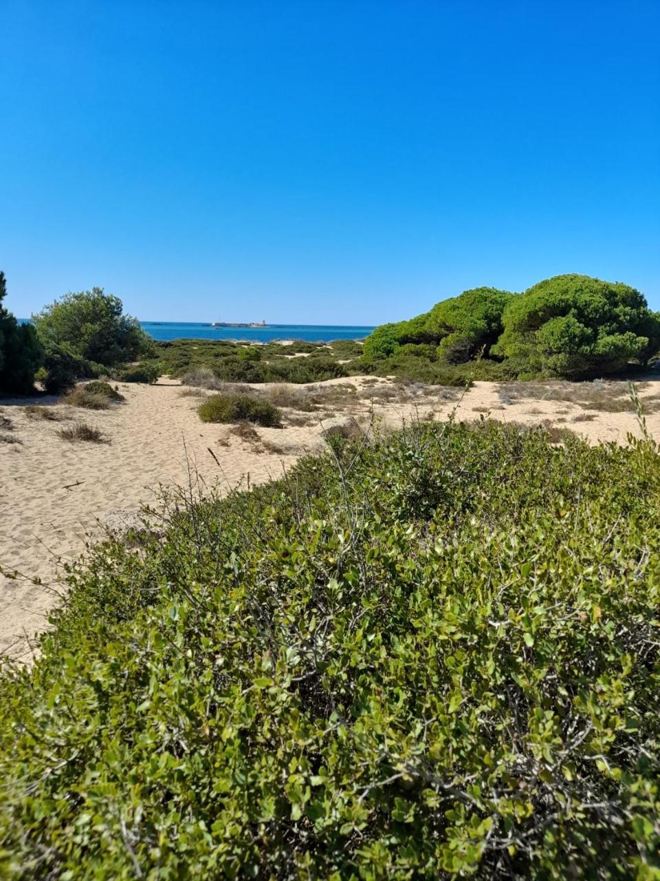 Apartamento Playa La Barrosa チクラナ・デ・ラ・フロンテーラ エクステリア 写真